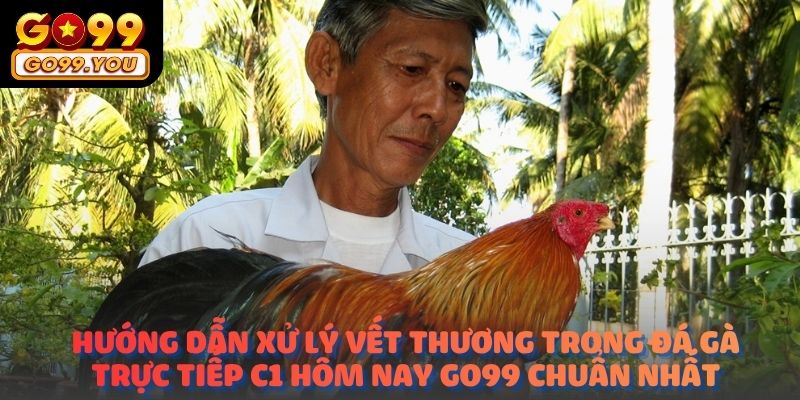 Hướng dẫn xử lý vết thương trong Đá gà trực tiếp C1 hôm nay go99 chuẩn nhất