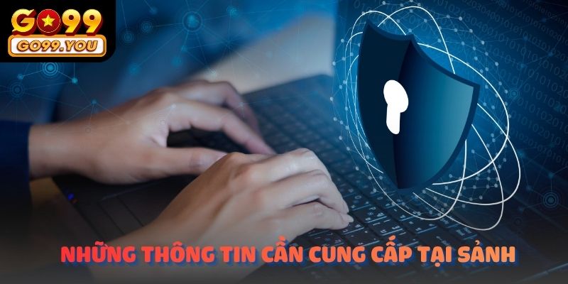 Những thông tin mà người chơi cần cung cấp theo luật chính sách bảo mật